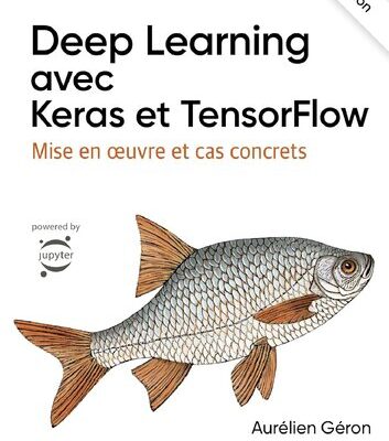 خرید و دانلود نسخه کامل کتاب Deep Learning avec Keras et TensorFlow : Mise en oeuvre et cas concrets