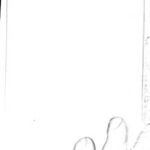 خرید و دانلود نسخه کامل کتاب Der enteignete Mythos : eine feministische Revision der Archetypenlehre C. G. Jungs und Erich Neumanns