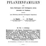 خرید و دانلود نسخه کامل کتاب Die natürlichen PFLANZENFAMILIEN. nymphaeaceae
