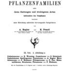 خرید و دانلود نسخه کامل کتاب Die natürlichen PFLANZENFAMILIEN. Podostemaceae