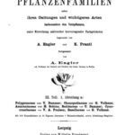 خرید و دانلود نسخه کامل کتاب Die natürlichen PFLANZENFAMILIEN. Polygonaceae