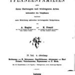 خرید و دانلود نسخه کامل کتاب Die natürlichen PFLANZENFAMILIEN. Rubiaceae