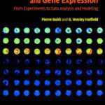 خرید و دانلود نسخه کامل کتاب DNA Microarrays and Gene Expression: From Experiments to Data Analysis and Modeling