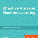 خرید و دانلود نسخه کامل کتاب Effective Amazon Machine Learning