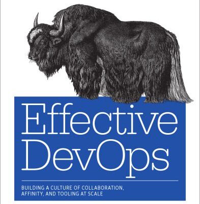 خرید و دانلود نسخه کامل کتاب Effective DevOps: Building a Culture of Collaboration, Affinity, and Tooling at Scale