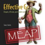 خرید و دانلود نسخه کامل کتاب Effective Go (MEAP V04)