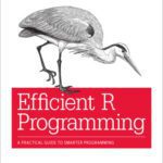 خرید و دانلود نسخه کامل کتاب Efficient R Programming: A Practical Guide to Smarter Programming