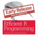 خرید و دانلود نسخه کامل کتاب Efficient R Programming: A Practical Guide to Smarter Programming