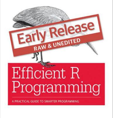 خرید و دانلود نسخه کامل کتاب Efficient R Programming: A Practical Guide to Smarter Programming