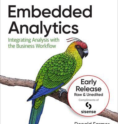 خرید و دانلود نسخه کامل کتاب Embedded Analytics: Integrating Analysis with the Business Workflow (Sixth Early Release)