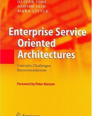خرید و دانلود نسخه کامل کتاب Enterprise Service Oriented Architectures: Concepts, Challenges, Recommendations