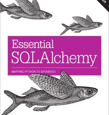 خرید و دانلود نسخه کامل کتاب Essential SQLAlchemy, 2nd Edition: Mapping Python to Databases