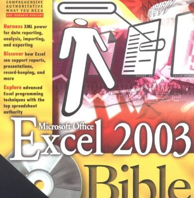 خرید و دانلود نسخه کامل کتاب Excel 2003 Bible