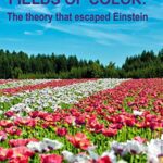 خرید و دانلود نسخه کامل کتاب Fields of Color: The theory that escaped Einstein -  +  PDF