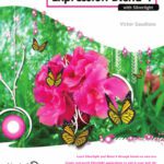 خرید و دانلود نسخه کامل کتاب Foundation Expression Blend 4 with Silverlight