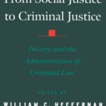 خرید و دانلود نسخه کامل کتاب From Social Justice to Criminal Justice: Poverty and the Administration of Criminal Law (Practical and Professional Ethics)