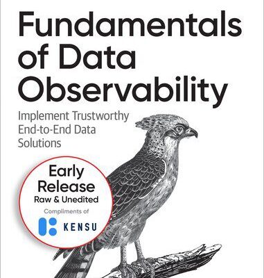 خرید و دانلود نسخه کامل کتاب Fundamentals of Data Observability (5th Early Release)