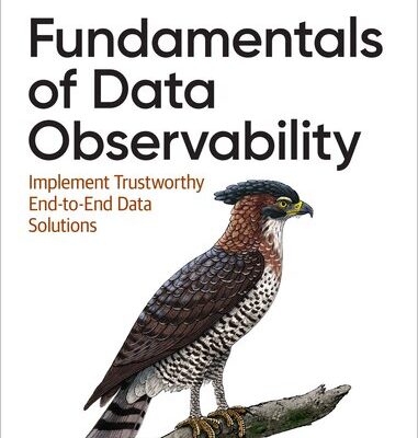 خرید و دانلود نسخه کامل کتاب Fundamentals of Data Observability: Implement Trustworthy End-to-End Data Solutions