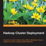 خرید و دانلود نسخه کامل کتاب Hadoop Cluster Deployment: Construct a modern Hadoop data platform effortlessly and gain insights into how to manage clusters efficiently