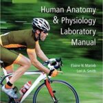 خرید و دانلود نسخه کامل کتاب Human Anatomy & Physiology Laboratory Manual, Main Version (12th Edition) [2019] -  pdf