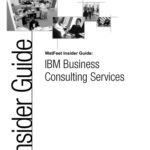 خرید و دانلود نسخه کامل کتاب IBM Business Consulting Services: The WetFeet Insider Guide
