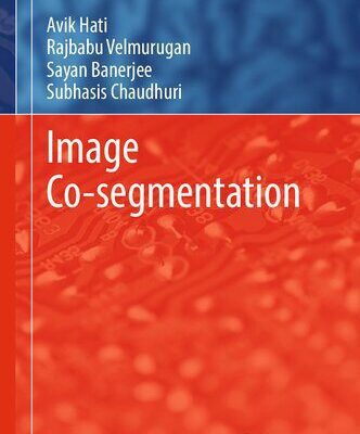 خرید و دانلود نسخه کامل کتاب Image Co-segmentation