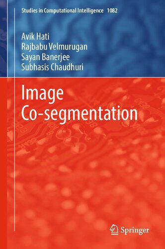 خرید و دانلود نسخه کامل کتاب Image Co-segmentation_6865a8dbbd802.jpeg خرید و دانلود نسخه کامل کتاب Image Co-segmentation