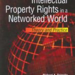 خرید و دانلود نسخه کامل کتاب Intellectual Property Rights in a Networked World:: Theory and Practice