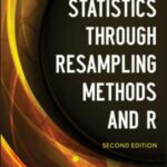 خرید و دانلود نسخه کامل کتاب Introduction to Statistics Through Resampling Methods and R