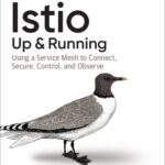 خرید و دانلود نسخه کامل کتاب Istio: Up and Running: Using a Service Mesh to Connect, Secure, Control, and Observe
