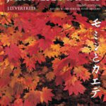 خرید و دانلود نسخه کامل کتاب Japanese Maples: Momiji and Kaede