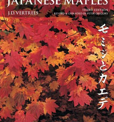 خرید و دانلود نسخه کامل کتاب Japanese Maples: Momiji and Kaede