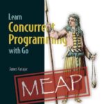خرید و دانلود نسخه کامل کتاب Learn Concurrent Programming with Go (MEAP V06)