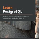 خرید و دانلود نسخه کامل کتاب Learn PostgreSQL: Build and manage high-performance database solutions using PostgreSQL 12 and 13