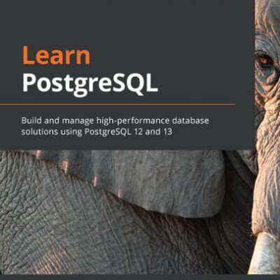 خرید و دانلود نسخه کامل کتاب Learn PostgreSQL: Build and manage high-performance database solutions using PostgreSQL 12 and 13
