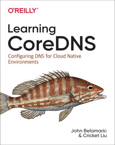 خرید و دانلود نسخه کامل کتاب Learning Coredns: Configuring DNS for Cloud Native Environments