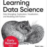 خرید و دانلود نسخه کامل کتاب Learning Data Science: Programming and Statistics Fundamentals Using Python (Seventh Early Release)