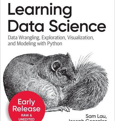 خرید و دانلود نسخه کامل کتاب Learning Data Science: Programming and Statistics Fundamentals Using Python (Seventh Early Release)
