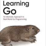 خرید و دانلود نسخه کامل کتاب Learning Go: An Idiomatic Approach to Real-World Go Programming