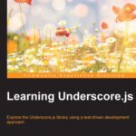 خرید و دانلود نسخه کامل کتاب Learning Underscore.js: Explore the Underscore.js library by example using a test-driven development approach