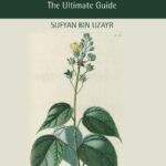 خرید و دانلود نسخه کامل کتاب Linux: The Ultimate Guide