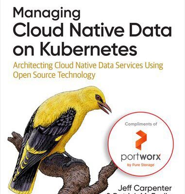 خرید و دانلود نسخه کامل کتاب Managing Cloud Native Data on Kubernetes: Architecting Cloud Native Data Services Using Open Source Technology (Final)