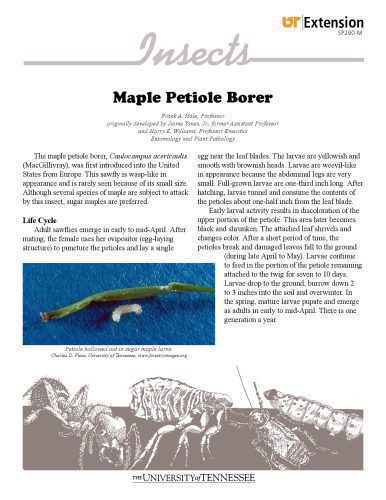 خرید و دانلود نسخه کامل کتاب Maple (Acer) disorder : maple petiole borer_687f2ccabc101.jpeg خرید و دانلود نسخه کامل کتاب Maple (Acer) disorder : maple petiole borer