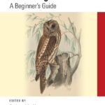 خرید و دانلود نسخه کامل کتاب Mastering CSS: A Beginner’s Guide