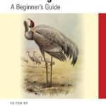 خرید و دانلود نسخه کامل کتاب Mastering Perl: A Beginner’s Guide