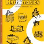خرید و دانلود نسخه کامل کتاب Mathematics VIII