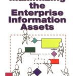 خرید و دانلود نسخه کامل کتاب Maximizing The Enterprise Information Assets