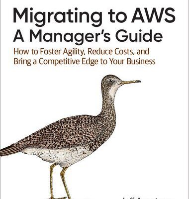 خرید و دانلود نسخه کامل کتاب Migrating to AWS: A Manager’s Guide: How to Foster Agility, Reduce Costs, and Bring a Competitive Edge to Your Business