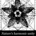 خرید و دانلود نسخه کامل کتاب Nature’s Harmonic Unity: A Treatise on Its Relation to Proportional Form