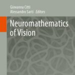 خرید و دانلود نسخه کامل کتاب Neuromathematics of Vision